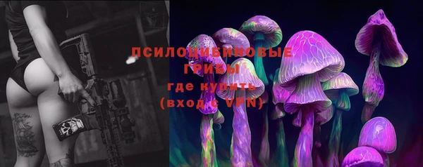трава Абдулино