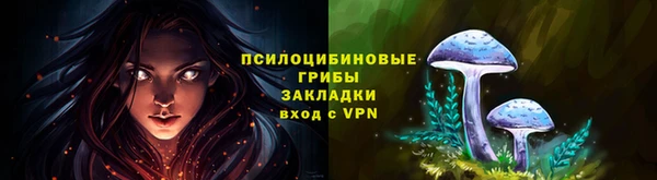 наркотики Приозерск