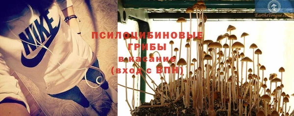трава Абдулино