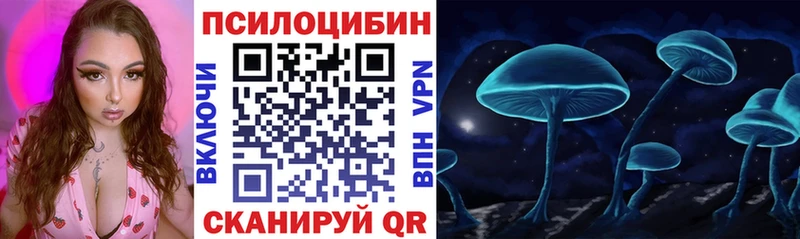 где найти наркотики  Мосальск  ссылка на мегу онион  Псилоцибиновые грибы Psilocybe 